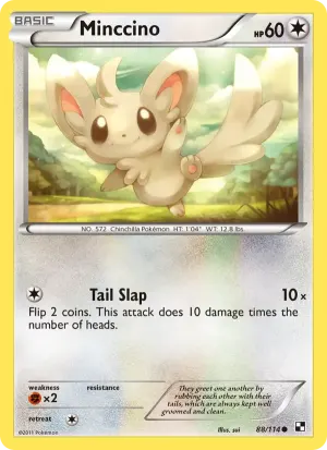 Minccino