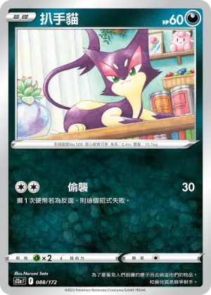 扒手貓